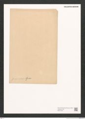 Diatomeae indet. Zeichnungen Sammlung Grunow (NHMW-BOT-W0371420)